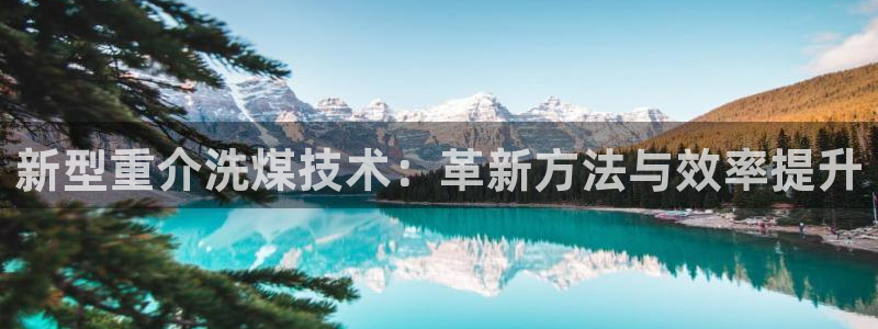 辉达娱乐游戏.直开.中国