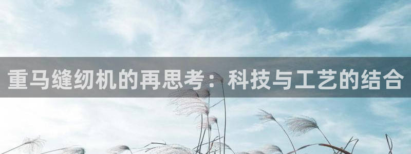 辉达娱乐最新版本更新内容