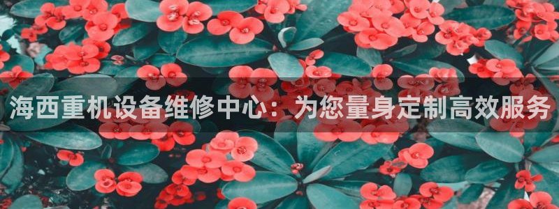 辉达娱乐下载：海西重机设备维修中心：为您量身定制高效服务