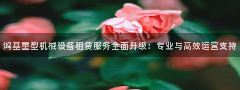 辉达娱乐排列三：鸿基重型机械设备租赁服务全面升级：专业与高效