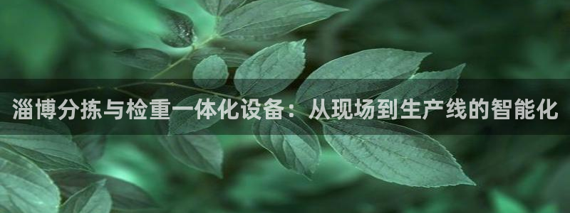 辉达娱乐登录：淄博分拣与检重一体化设备：从现场到生产线的智能
