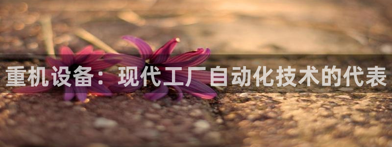 专业辉达娱乐官方网址