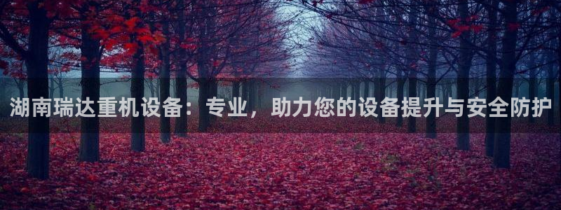 辉达平台娱乐怎么样