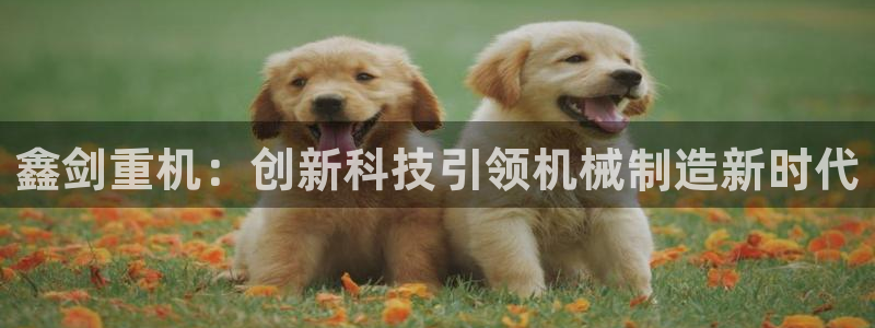辉达娱乐注册：鑫剑重机：创新科技引领机械制造新时代