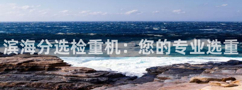 龙腾辉达电子娱乐：滨海分选检重机：您的专业选重
