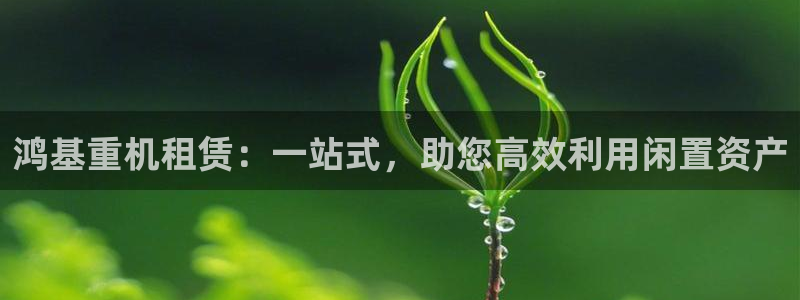 辉达娱乐检测：鸿基重机租赁：一站式，助您高效利用闲置资产