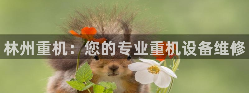 辉达娱乐珈75775：林州重机：您的专业重机设备维修