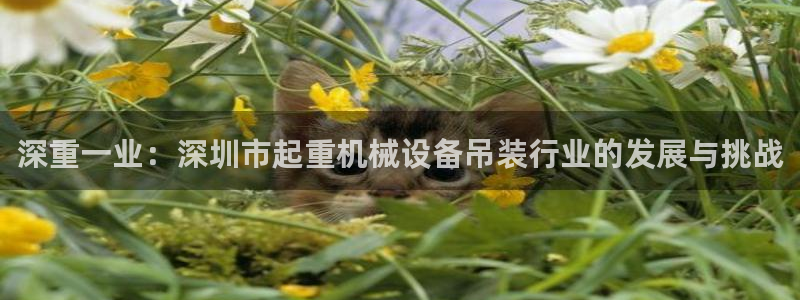 辉达娱乐己75505：深重一业：深圳市起重机械设备吊装行业的