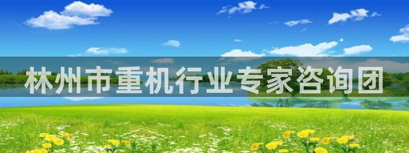 代理辉达娱乐开户注册：林州市重机行业专家咨询团