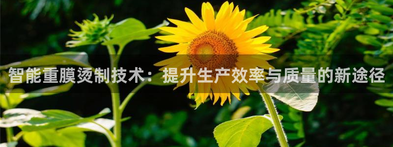 信誉辉达娱乐平台：智能重膜烫制技术：提升生产效率与质量的新途