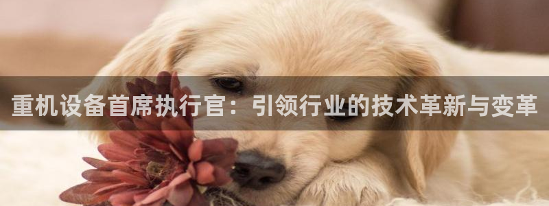 辉达娱乐衤39444：重机设备首席执行官：引领行业的技术革新
