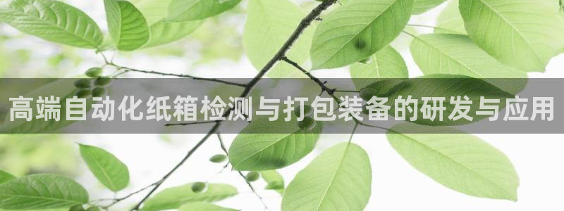正规辉达娱乐平台：高端自动化纸箱检测与打包装备的研发与应用