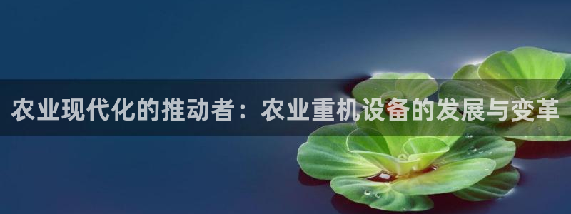 辉达娱乐体育竞猜：农业现代化的推动者：农业重机设备的发展与变