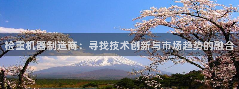 辉达娱乐电子：检重机器制造商：寻找技术创新与市场趋势的融合