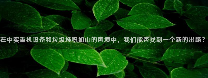 辉达平台注册资金多少：在中实重机设备和垃圾堆积如山的困境中，