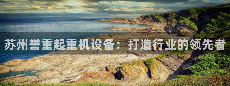 辉达娱乐平台：苏州誉重起重机设备：打造行业的领先者