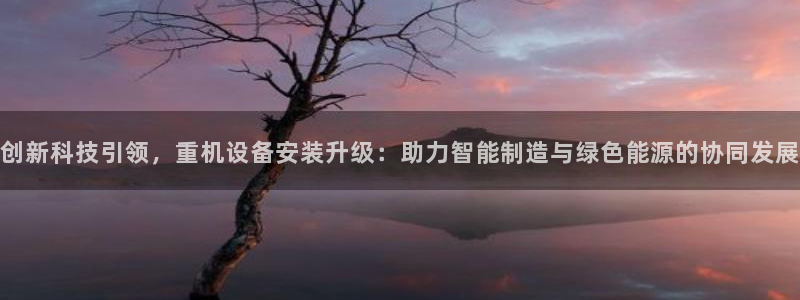 辉达娱乐丿75505：创新科技引领，重机设备安装升级：助力智