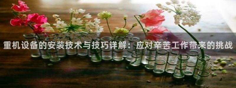 辉达娱乐加q75775稳定：重机设备的安装技术与技巧详解：应