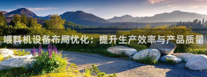 辉达娱乐多少年：喂料机设备布局优化：提升生产效率与产品质量