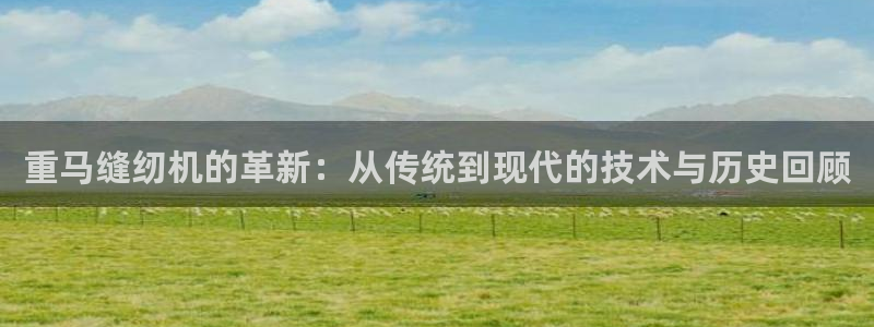 辉达娱乐排列三：重马缝纫机的革新：从传统到现代的技术与历史回