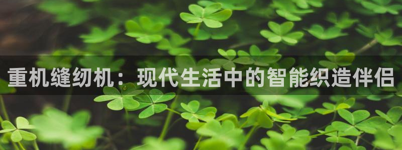专业辉达娱乐平台