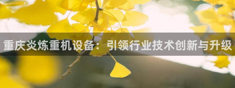 辉达平台官网首页