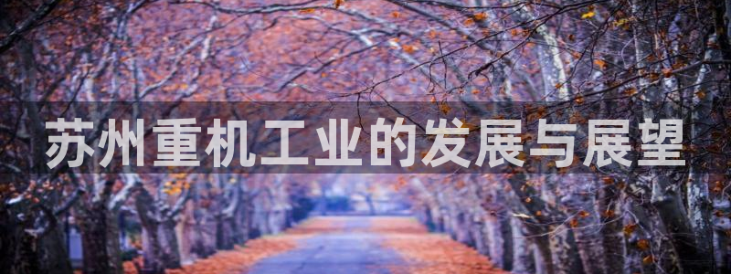 辉达娱乐app