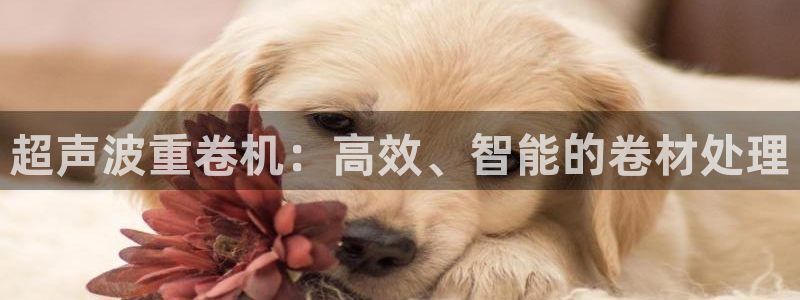 辉达娱乐公司