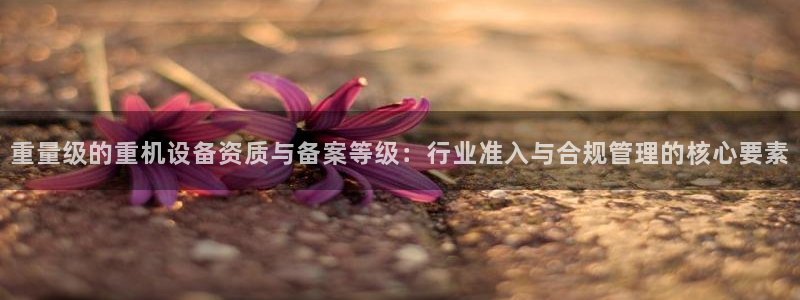菲律宾辉达娱乐
