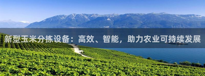 辉达娱乐平台
