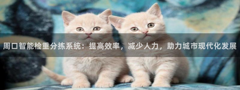 辉达娱乐