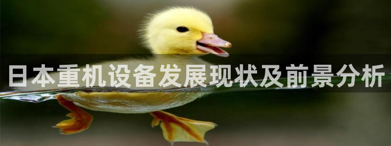 辉达平台官网下载