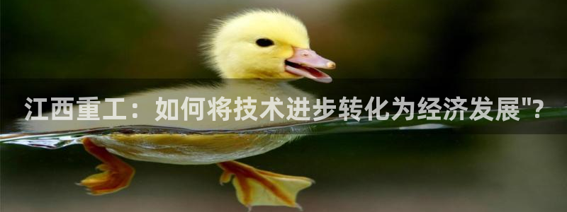 辉达娱乐网址