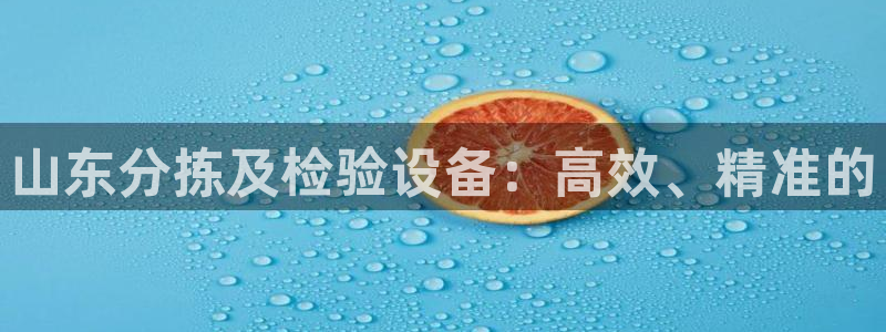 辉达娱乐丶75505：山东分拣及检验设备：高效、精准的