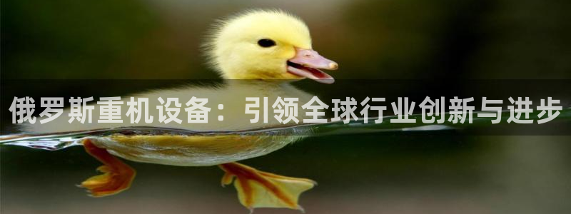 辉达平台娱乐怎么样