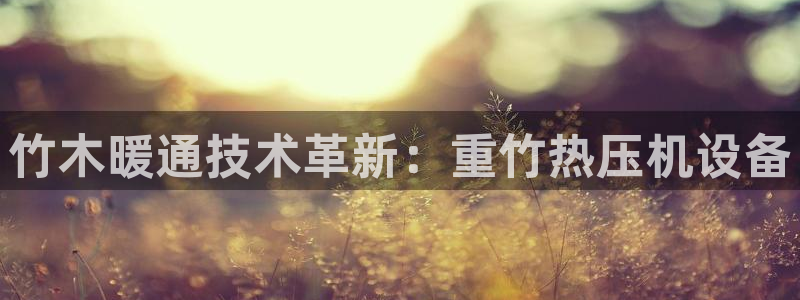 辉达平台官网下载：竹木暖通技术革新：重竹热压机设备