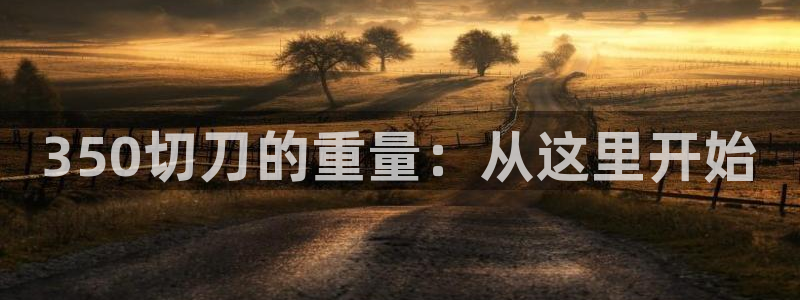 辉达娱乐ag游戏平台：350切刀的重量：从这里开始
