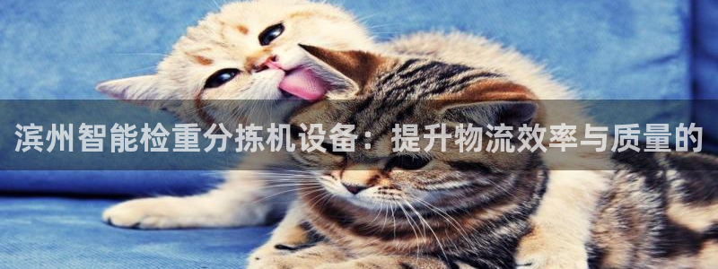 辉达娱乐属于什么档次：滨州智能检重分拣机设备：提升物流效率与