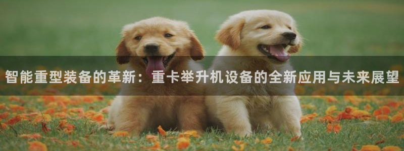 菲律宾辉达娱乐：智能重型装备的革新：重卡举升机设备的全新应用