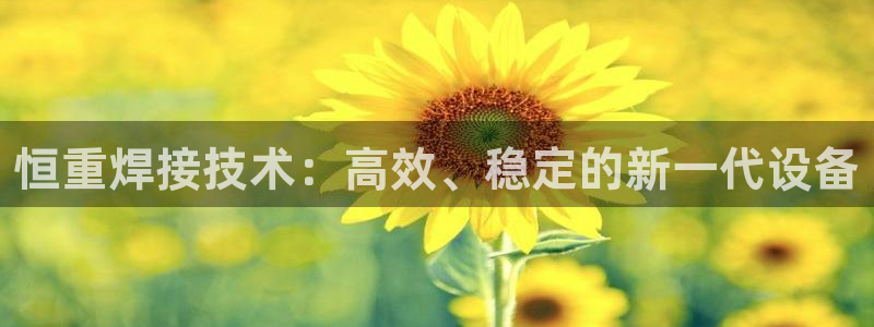 辉达娱乐丶75505：恒重焊接技术：高效、稳定的新一代设备