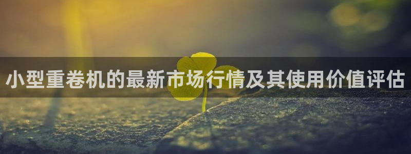 代理辉达娱乐：小型重卷机的最新市场行情及其使用价值评估