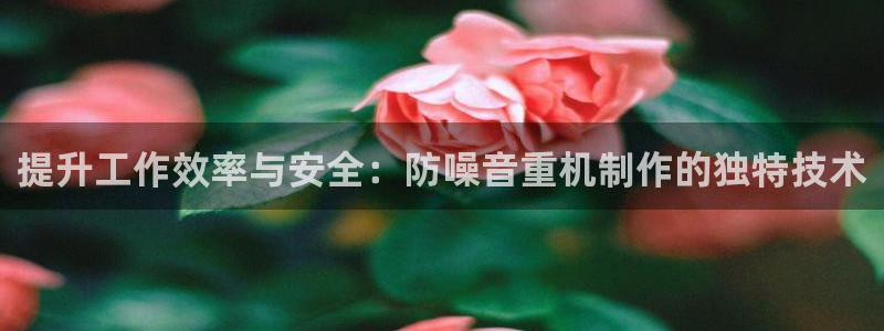 辉达娱乐分红：提升工作效率与安全：防噪音重机制作的独特技术