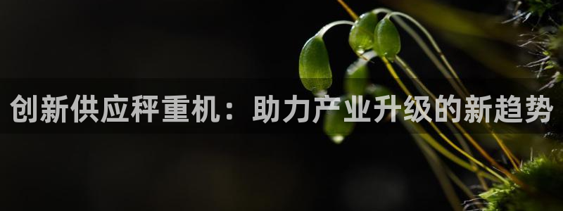 辉达平台注册入口：创新供应秤重机：助力产业升级的新趋势