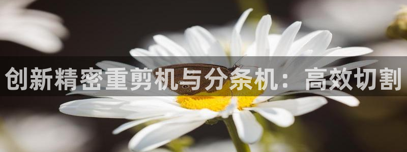 专业辉达娱乐在线游戏：创新精密重剪机与分条机：高效切割