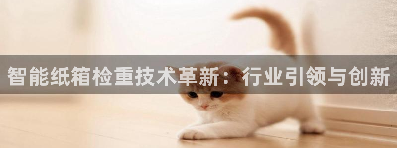 辉达官网登录入口入口：智能纸箱检重技术革新：行业引领与创新