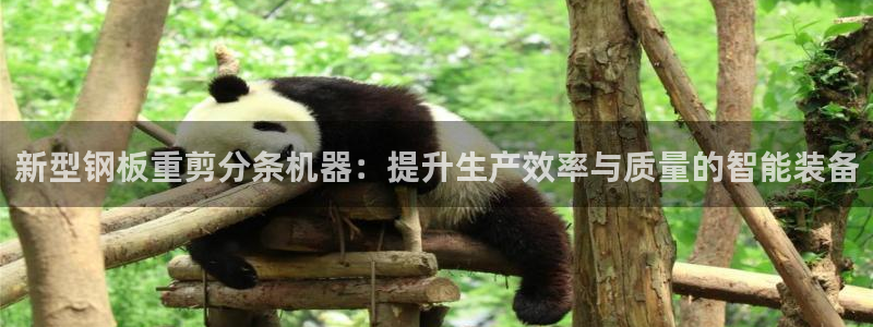 信誉辉达娱乐平台：新型钢板重剪分条机器：提升生产效率与质量的