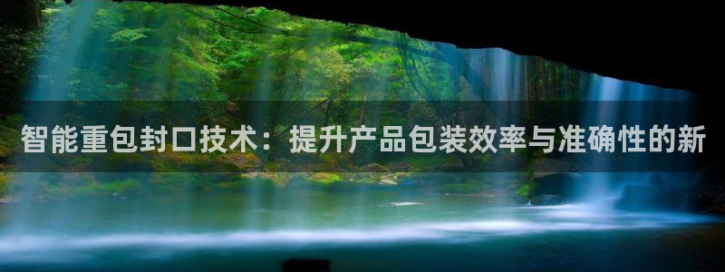辉达娱乐珈75775：智能重包封口技术：提升产品包装效率与准