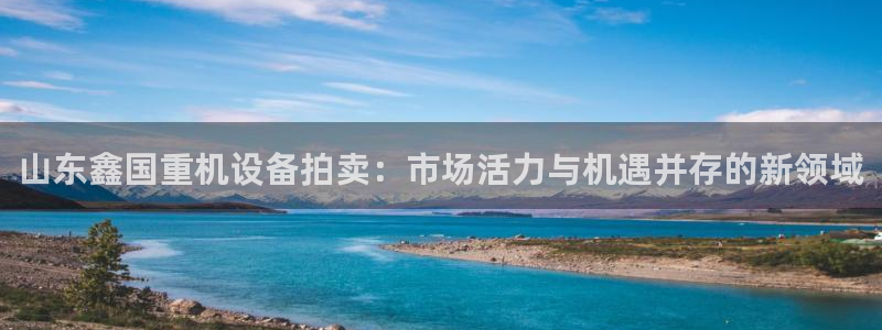 正规辉达娱乐开户注册：山东鑫国重机设备拍卖：市场活力与机遇并