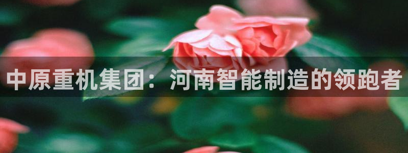 辉达娱乐官方网址：中原重机集团：河南智能制造的领跑者