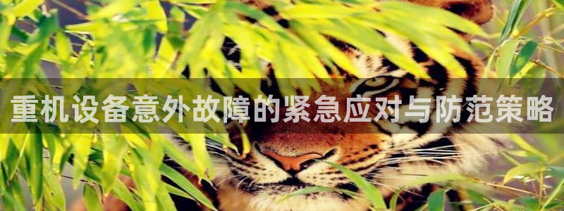 辉达娱乐下载：重机设备意外故障的紧急应对与防范策略